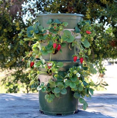 Rustic diy wooden vertical planter. Creative Ideas - DIY Strawberry Tower With Reservoir ...