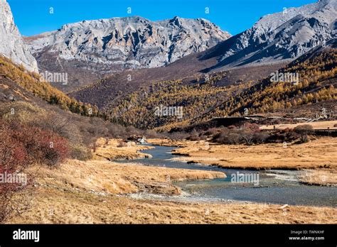 Sacred Tibetan Mountain With Golden Meadow And River In Autumn Stock