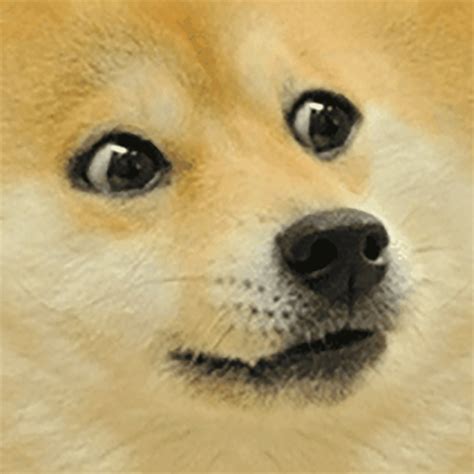 Doge2048 Zoom 128 Points Tile Doge2048 Opensea