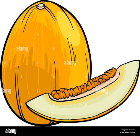 Melon Fruit Cartoon Illustration Stock Vector Image And Art Alamy