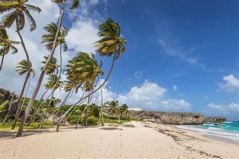 Tropical Beach Bottom Bay On The Caribbean Island Barbados Stock Image