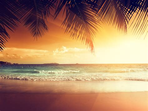 Sunset On A Tropical Beach Hd Desktop Wallpaper Wides