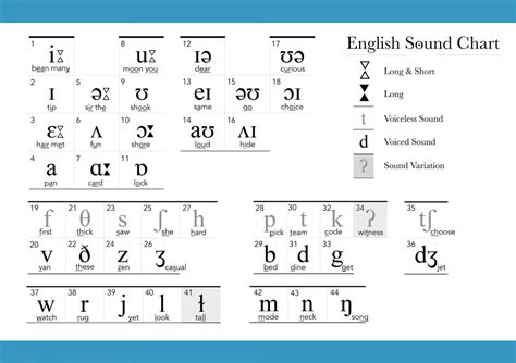 English Ipa Vowel Chart With Examples Imagesee