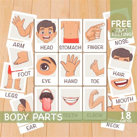 Body Parts Flashcards Printable Free Free Printable Templates