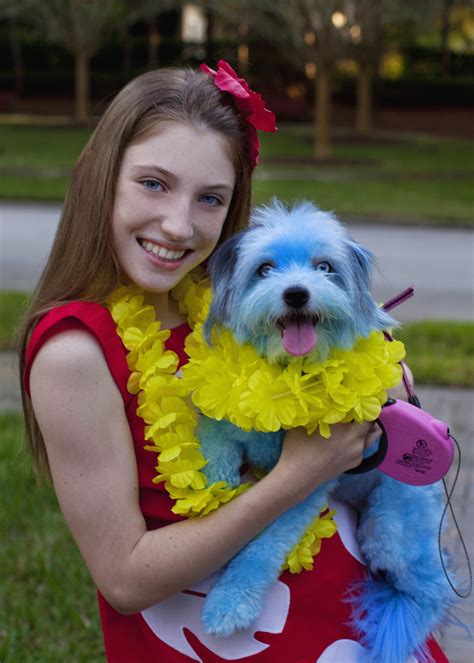 See more ideas about lilo and stitch, stitch disney, cute stitch. DIY Lilo and Stitch Dog and Owner Costume - Costume Yeti