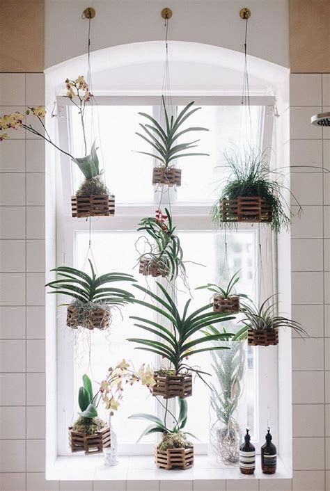 Brilliant 14 Awesome Windows Hanging Plants Ideas 14 Awesome Windows