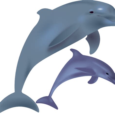 Florida Clipart Dolphin Florida Dolphin Transparent Free For Download