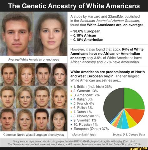 The Genetic Ancestry Of White Americans Common North West European