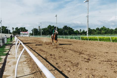 The grand national runners and riders are available at this grand national site, along with grand national odds so that you can choose the horses that you think will win the big race. The Leading Contenders for the 2020 Welsh Grand National