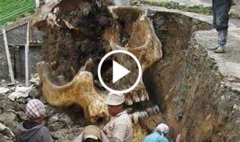 We did not find results for: 13 Giant Human Skeletons, Are They Real Or Fake? (Video ...