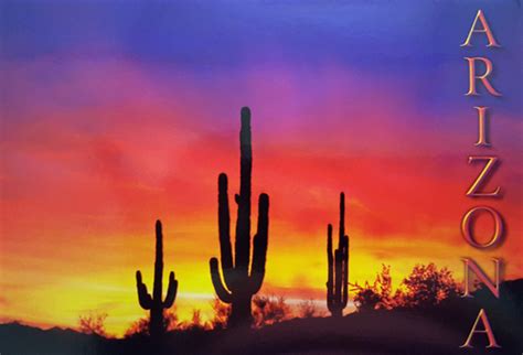 Arizona Sunset Postcard - Pack of 100 - Arizona Gifts