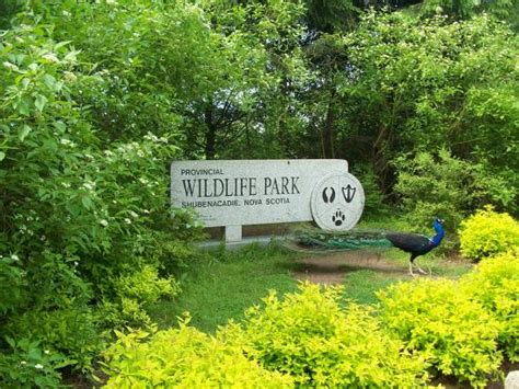 Wetland Interpretive Centre At Shubenacadie Wildlife Park Picture Of