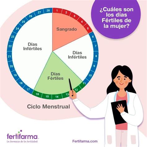 Todo Lo Que No Sabías Del Ciclo Menstrual Y Días Fértiles