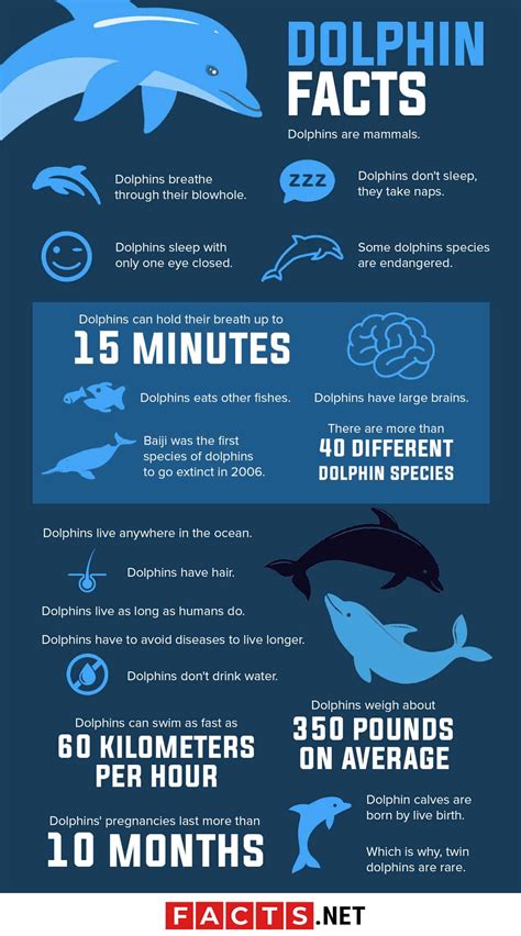 Dolphin Facts Hot Sex Picture