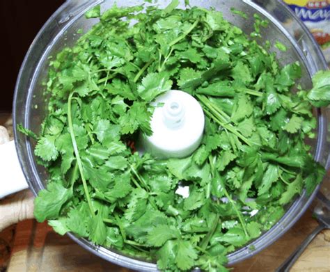Maybe you would like to learn more about one of these? Cilantro Jalapeno Dip Recipe - iSaveA2Z.com