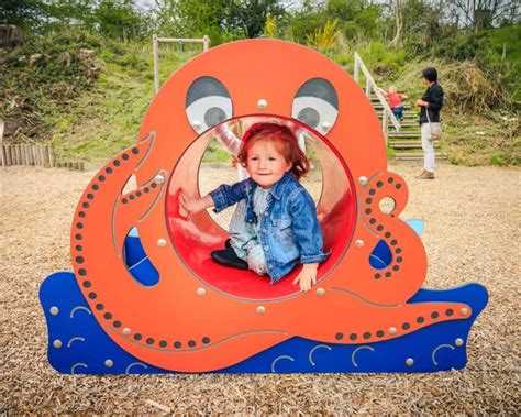 Octopus Crawl Tunnel By Playdale Playgrounds Made In The Uk