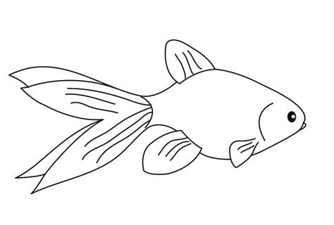 20 Contoh Sketsa Ikan Yang Mudah Ditiru Untuk Gambar Si Kecil