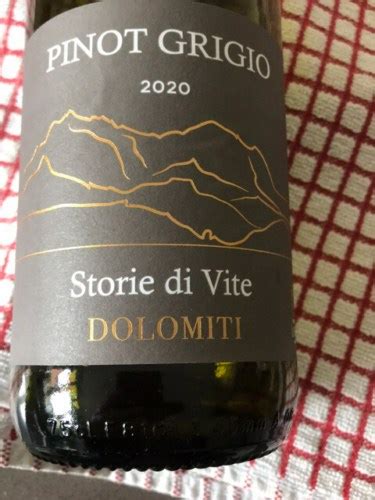 2020 Cantina La Vis Storie Di Vite Pinot Grigio Vivino US