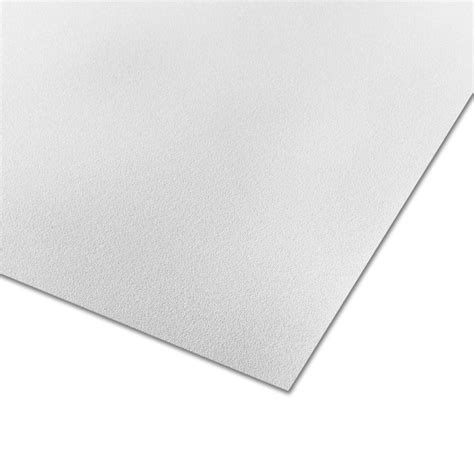 Parkland Plastics Embossed White Matte Plastic Wall Panel In The Wall