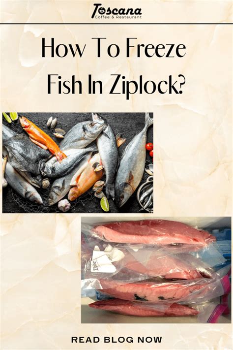 How To Freeze Fish In Ziplock 3 Easy Steps And Tips For Everyone