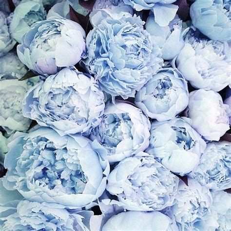 Are Blue Peonies Even Real Life Because These Are Incredible Wedding