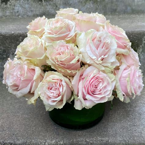 Two Dozen Classic Roses In Seattle Wa Fiori Floral Design