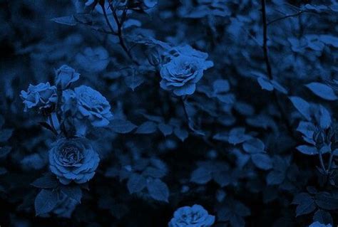 Photo Blue Aesthetic Blue Flowers Everything Is Blue