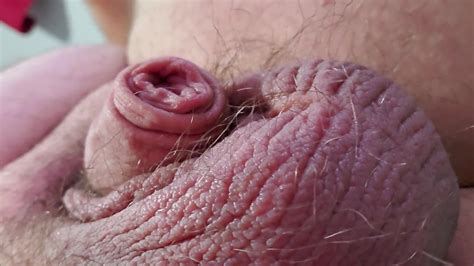 Soft Cock And Balls Close Up Gay Amateur Porn Be Xhamster