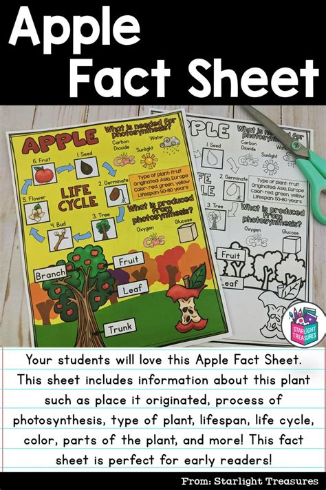 Apple Fact Sheet For Early Readers Fact Sheet Apple Facts