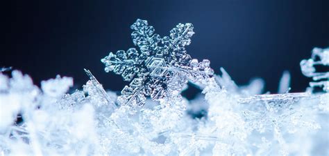 Smart Friday With Robotlab The Geometry Of Snowflakes