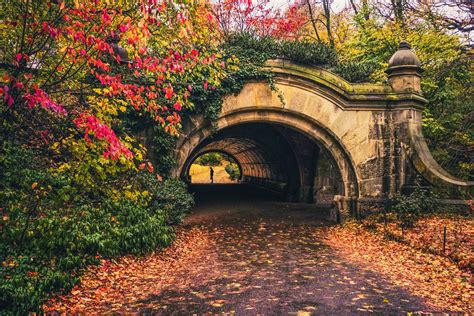 Wallpaper : leaves, garden, nature, park, bridge, arch, tree, autumn
