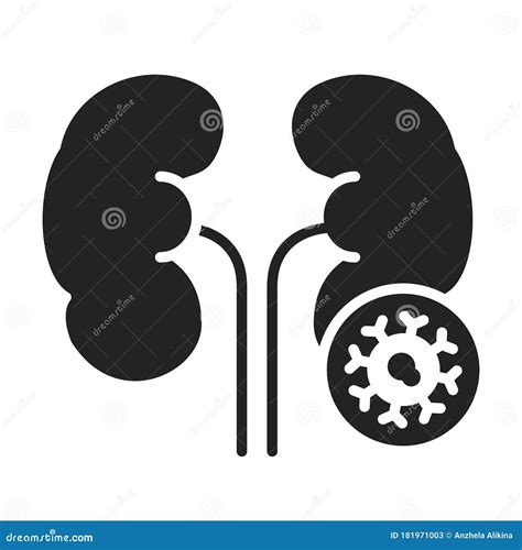 Kidney Cancer Glyph Black Icon Oncology Isolated Vector Element Stock