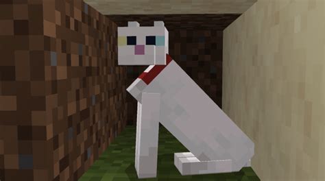 Approach the wolf and feed it by holding the object in your hand and pressing the action. How To Tame A Wild Cat In Minecraft