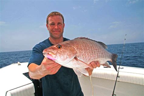 Snapper music is an independent music company based in london. Mangrove Snapper Topside - Florida Sportsman