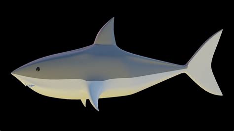 3d Low Poly Shark Cgtrader