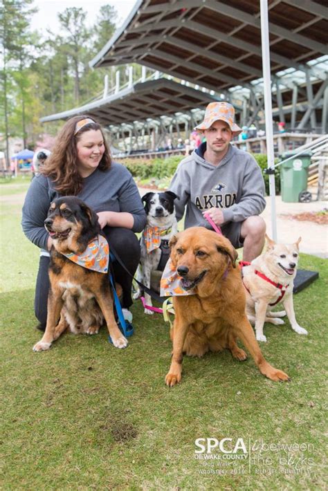 The orange county spca takes the placement and adoption process very seriously. Adoption Update: Daisy and Beau - SPCA of Wake County