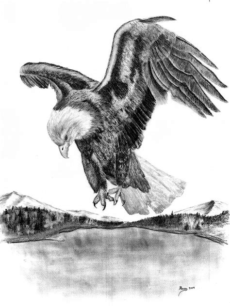 Drawings Of American Bald Eagles Charcoal Drawing American Bald