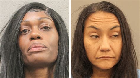 2 Women Charged After Wild Police Chase Tore Up Yards And Caused