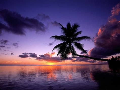 Free Download Download 1024x768 Tropical Island Beach Scenery Sunset Wallpaper 1024x768 For