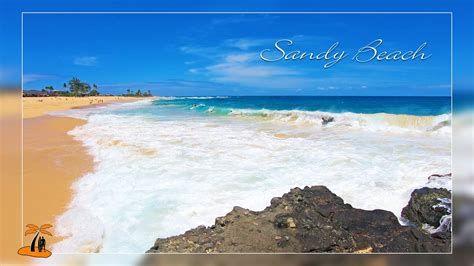 Sandy Beach Park Virtual Walk ⛱️ Hawaii 4k Tour Youtube
