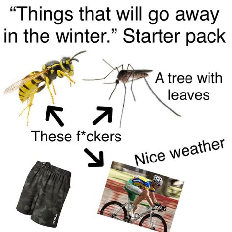 Things Will That Will Go Away In The Winter Starter Pack R