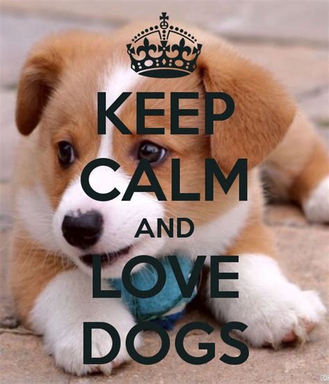 Keep Calm And Love Dogs Keep Calm Pinterest Calming Dog And Animal