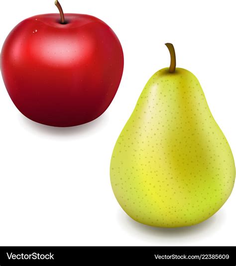 Fresh Red Apple And Pear Royalty Free Vector Image