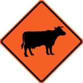 Temporary Hazard Sign For Cattle Segno Visual Safety Solutions
