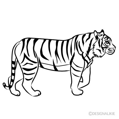 Cartoon Tiger Face Clipart Black And White Img Doozy