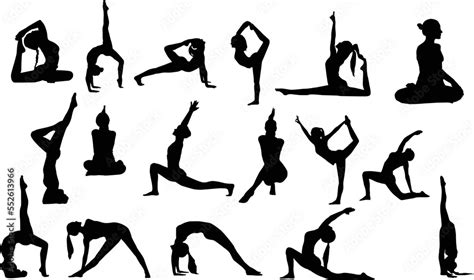 Various Yoga Girls Postures Silhouette Set Of Vector Silhouette Illustrations Design Isolated