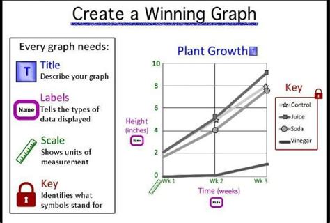 Your Graph Should Always Be Labeled Correctly Title Labels Scale
