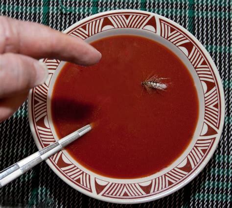 476 Uhh Waiter Theres A Fly In My Soup Fm Forums