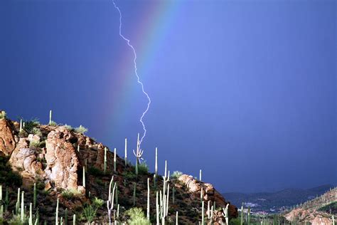 Lightning Rainbow And Saguaro Photograph By Glen Loftis Fine Art America