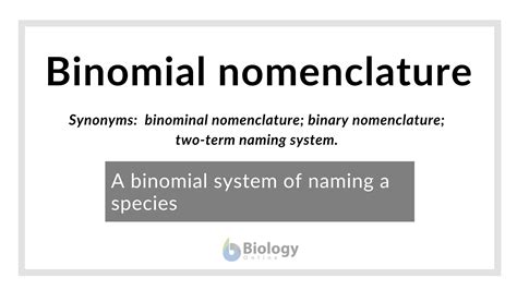 Binomial Nomenclature Definition And Examples Biology Online Dictionary